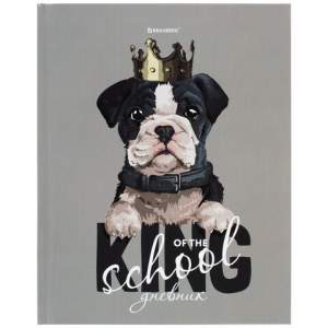 Дневник ст.кл. 